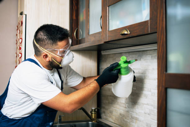 Best Rat Extermination Near Me  in Burton, OH