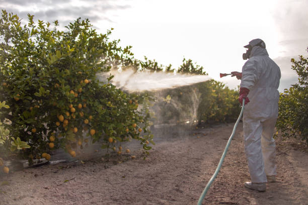 Best Wasp Removal Services  in Burton, OH