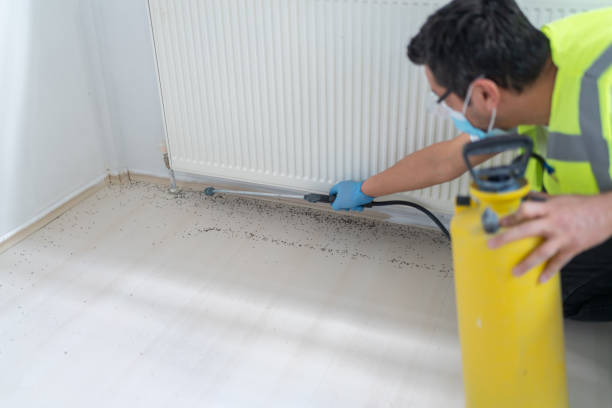 Best Cockroach Control Services  in Burton, OH