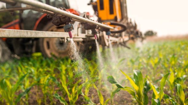 Best Pest Removal Services  in Burton, OH