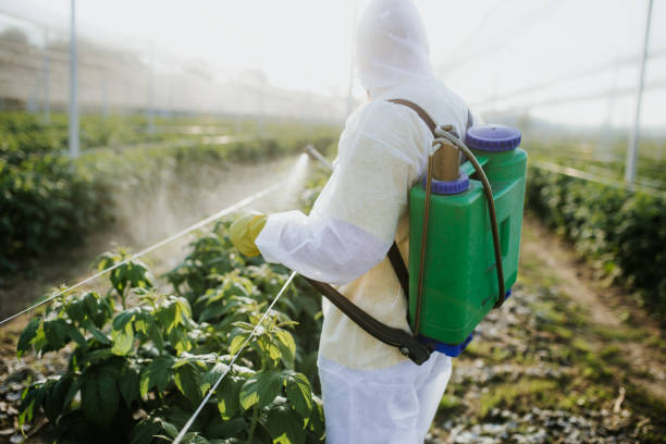 Best Flea Control Services  in Burton, OH